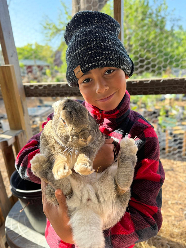 boywithbunny your female holding chicken